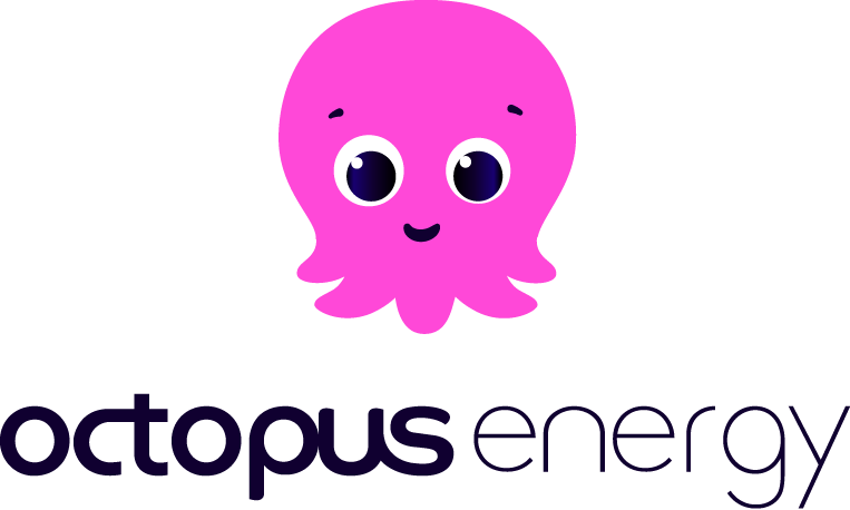 Energy supplier: Octopus Energy