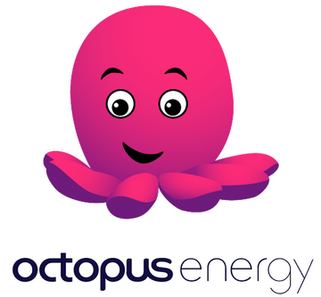 Energy supplier: Octopus Energy