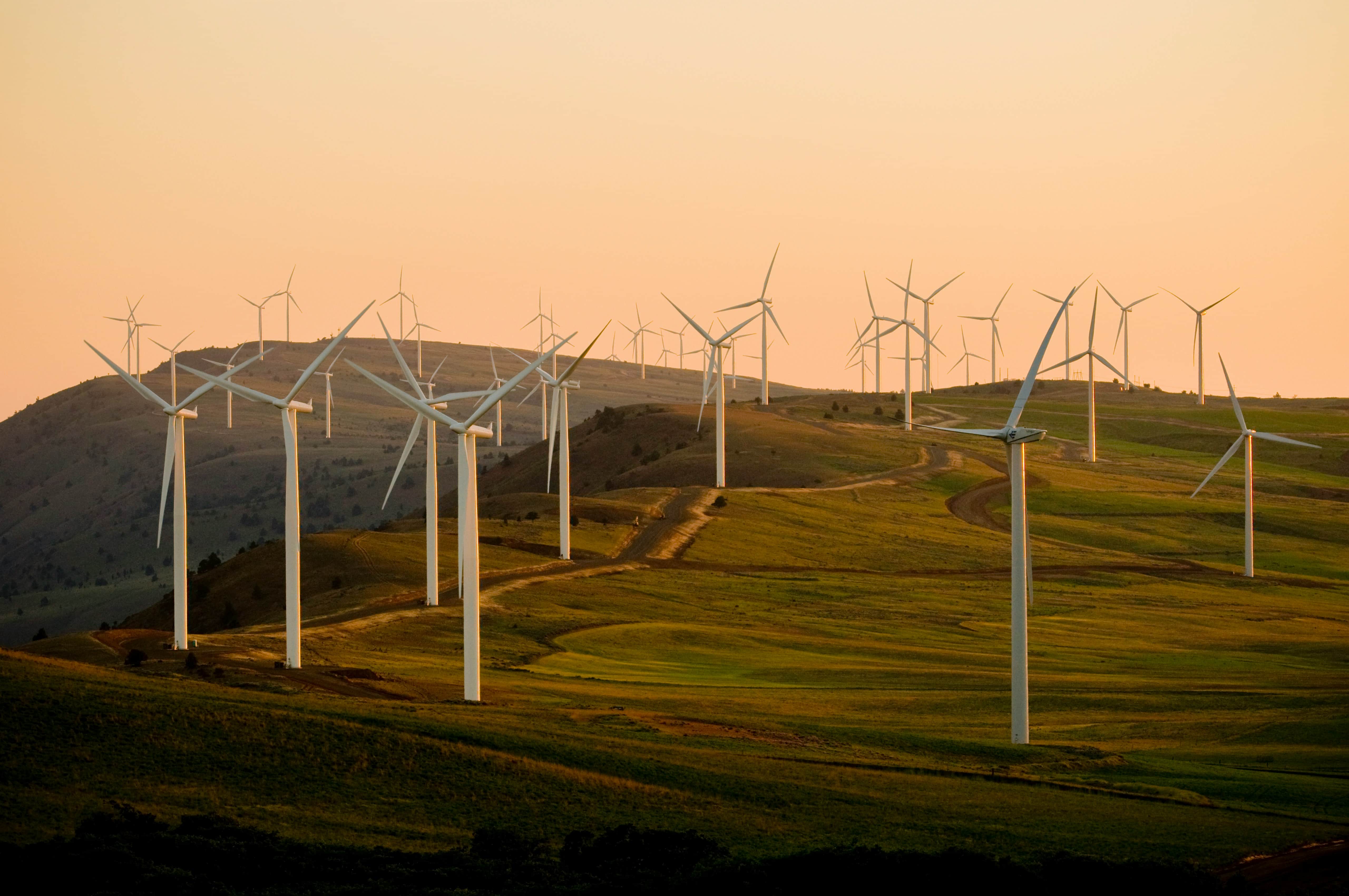 The Impact of Renewable Energy on Your Bill