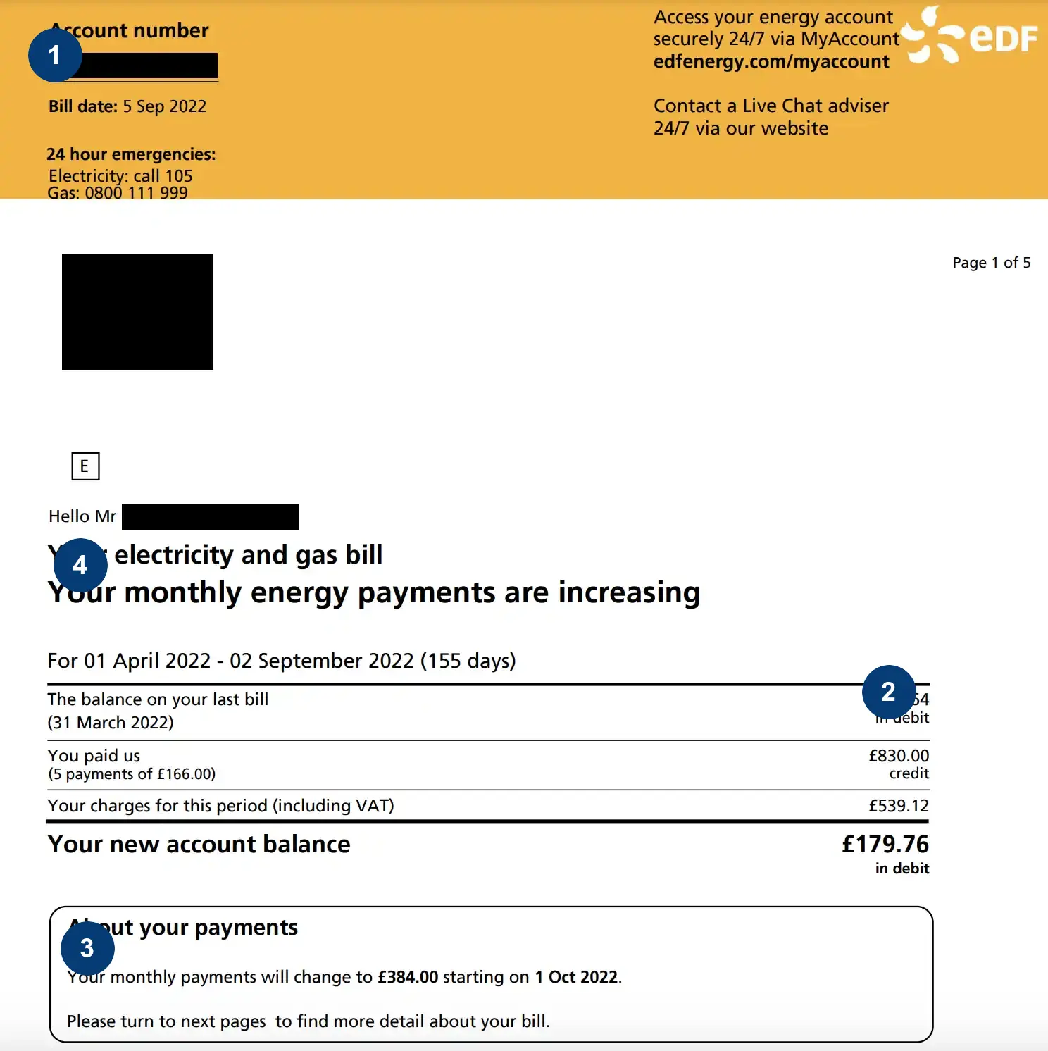 EDF bill page one