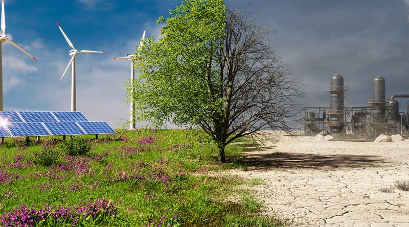 The Impact of Renewable Energy on Your Bill