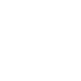 Dual Fuel